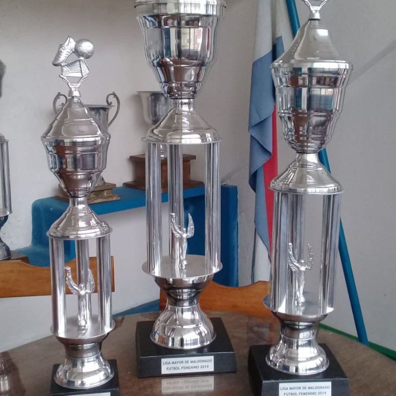Trofeo Magna Plateada Fútbol con Columnas