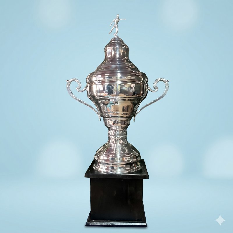 Gran Copa de Campeones Fútbol en Plata Imperial