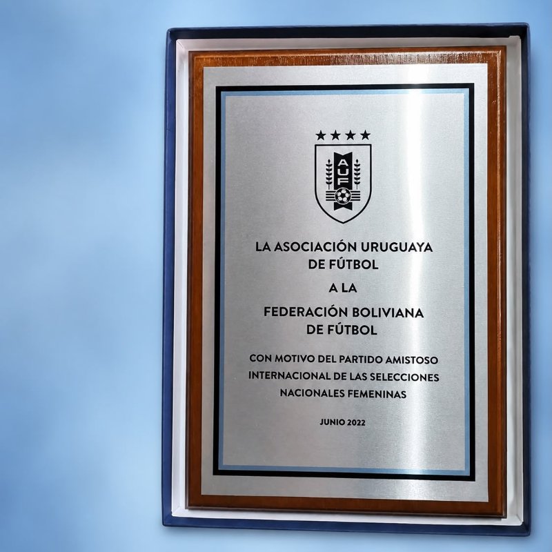 Placa chapa y madera Plateada o dorada